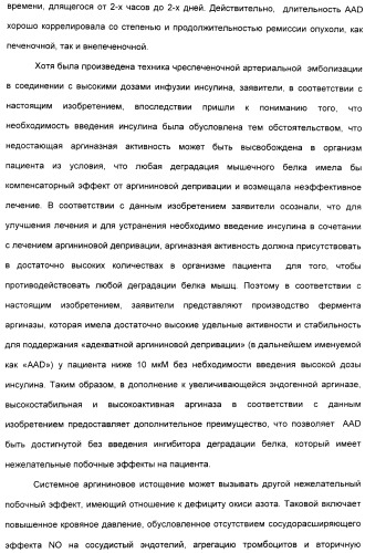 Фармацевтический препарат и способ лечения злокачественных опухолей у человека с помощью аргининовой депривации (патент 2335539)