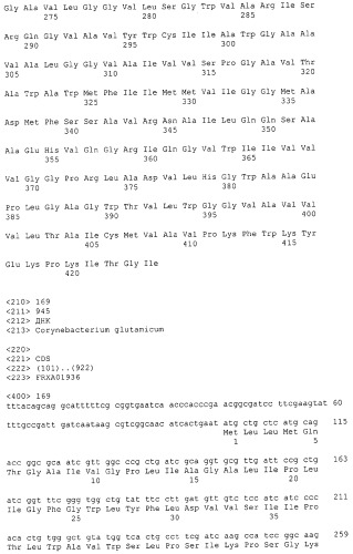 Гены corynebacterium glutamicum, кодирующие белки резистентности и толерантности к стрессам (патент 2303635)