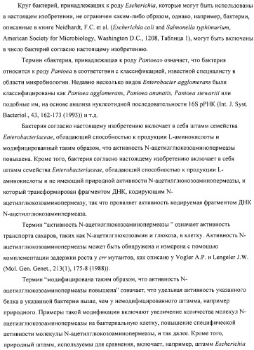 Способ получения l-аминокислот с использованием бактерии, принадлежащей к роду escherichia (патент 2312893)