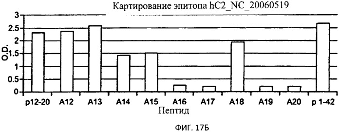 Применение антитела против амилоида бета при глазных заболеваниях (патент 2542967)