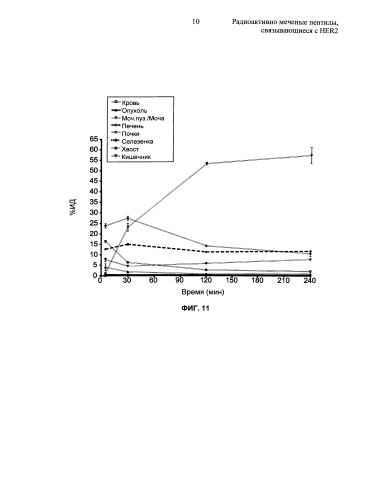 Радиоактивно меченые пептиды, связывающиеся с her2 (патент 2592685)