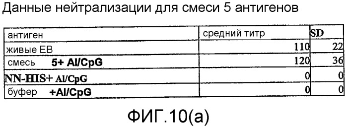 Иммуногенная композиция на основе антигена chlamydia trachomatis (варианты) и ее использование (патент 2352356)