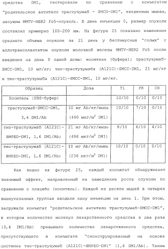 Антитела, сконструированные на основе цистеинов, и их конъюгаты (патент 2412947)