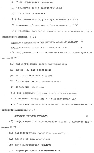 Антитела против белка, родственного паращитовидному гормону человека (патент 2322453)