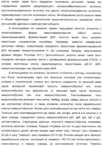 Использование уреазы для ингибирования роста раковых клеток (патент 2326691)