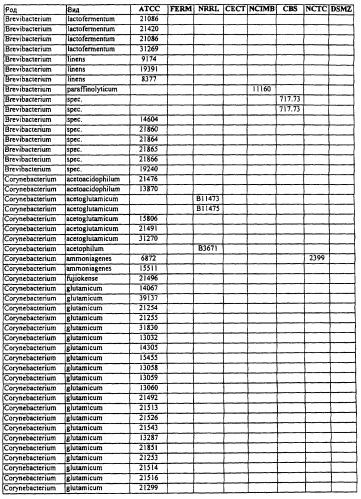 Гены corynebacterium glutamicum, кодирующие белки метаболических путей (патент 2306339)