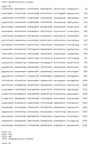 Иммуногенные композиции антигенов staphylococcus aureus (патент 2536981)