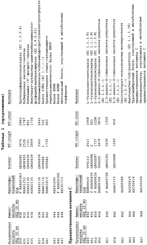 Гены corynebacterium glutamicum, кодирующие белки метаболических путей (патент 2306339)