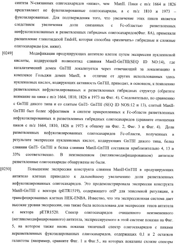 Конструкции слияния и их применение для получения антител с повышенными аффинностью связывания fc-рецептора и эффекторной функцией (патент 2407796)