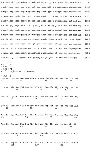 Иммуногенные композиции антигенов staphylococcus aureus (патент 2536981)