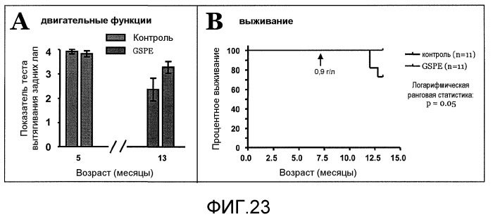 Способы профилактики и лечения нейродегенеративных заболеваний (патент 2496502)