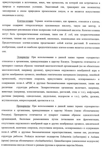 Система экспрессии компонентов ортогональной трансляции в эубактериальной клетке-хозяине (патент 2467069)
