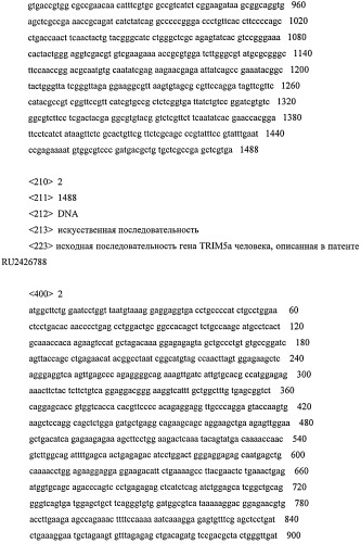 Усовершенствование генетических конструкций для повышения эффективности антивич терапии (патент 2533817)