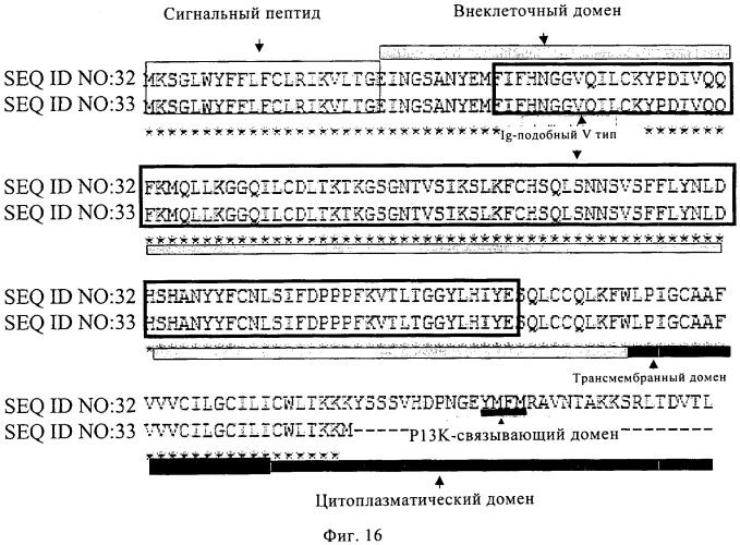 Анти-icos антитела и их применение в лечении онкологических, связанных с трансплантацией и аутоиммунных заболеваний (патент 2549701)