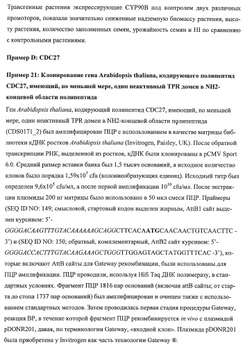 Растения, имеющие улучшенные характеристики роста, и способы их получения (патент 2463352)
