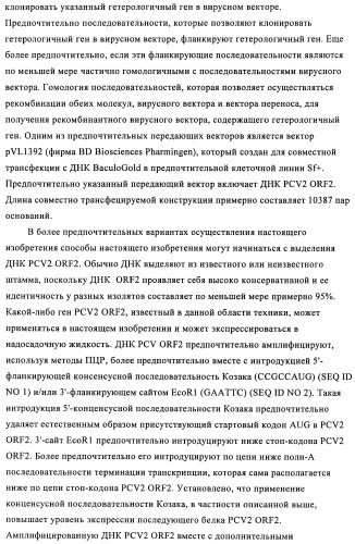 Поливалентные иммуногенные композиции pcv2 и способы получения таких композиций (патент 2488407)