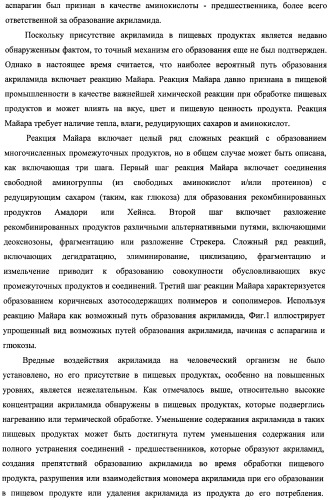 Способ получения термически обработанного пищевого продукта со сниженным содержанием акриламида (патент 2391000)