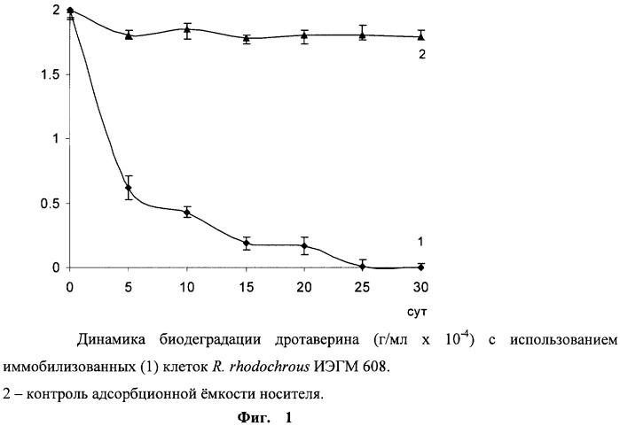 Способ биодеградации дротаверина гидрохлорида (патент 2496866)