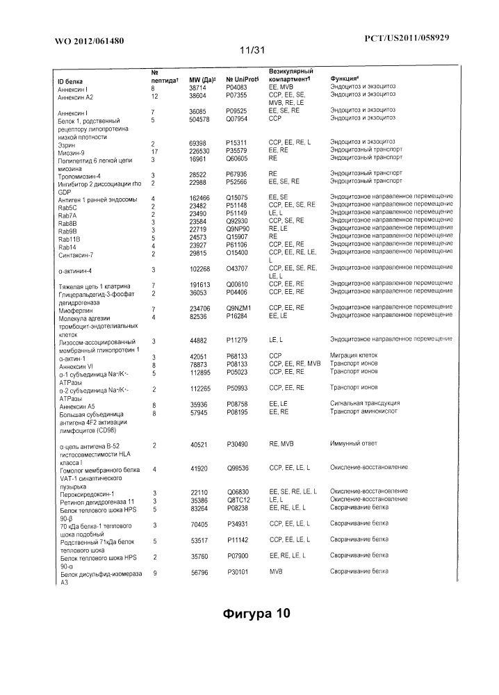 Композиции и способы доставки терапевтических средств (патент 2632445)