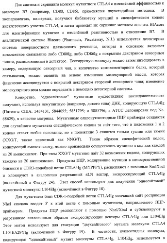 Способ лечения сердечно-сосудистого заболевания с применением растворимого ctla4 (патент 2353384)