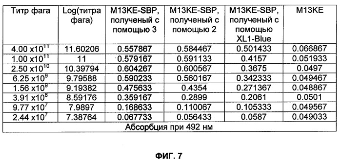 Селективная посттрансляционная модификация экспонируемых фагами полипептидов (патент 2459866)