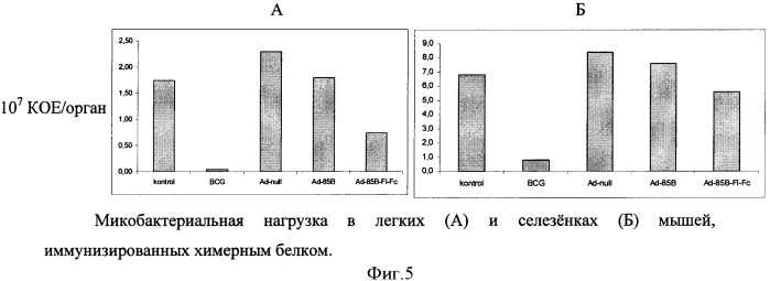 Способ получения рекомбинантной вакцины (патент 2444570)