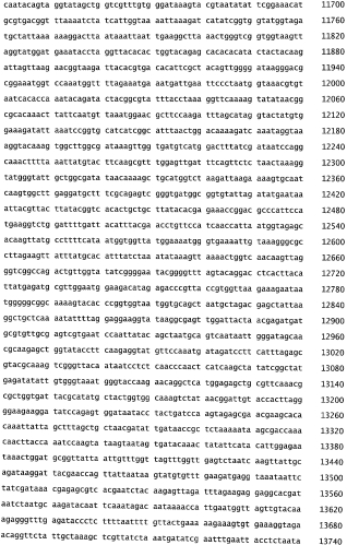 Бактериофаг, обладающий активностью против pseudomonas aeruginosa, белки бактериофага и способы их применения (патент 2580248)