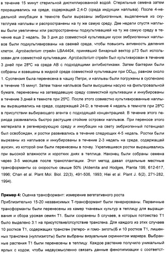 Способ повышения выхода семян растения, способ производства трансгенного растения, имеющего повышенную урожайность семян, генная конструкция для экспрессии в растении и трансгенное растение (патент 2409938)