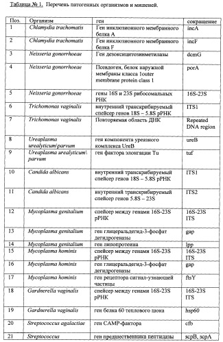 Дифференцирующий и специфический олигонуклеотиды для идентификации последовательностей днк инфекционных агентов в биологических материалах, способ видовой идентификации инфекционных агентов, биочип и набор для осуществления этого способа (патент 2348695)