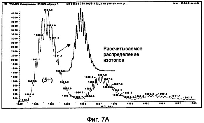 Конъюгаты полипептида и олигосахарида (патент 2443713)