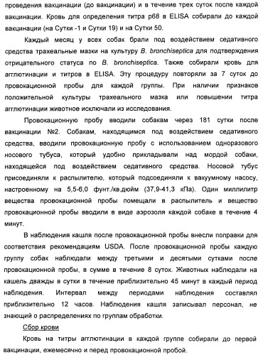 Поливалентные вакцины для собак против leptospira bratislava и других патогенов (патент 2400248)