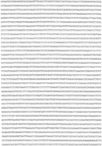 Применение s1p (патент 2362565)