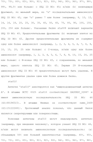 Композиции для иммунизации против staphylococcus aureus (патент 2508126)