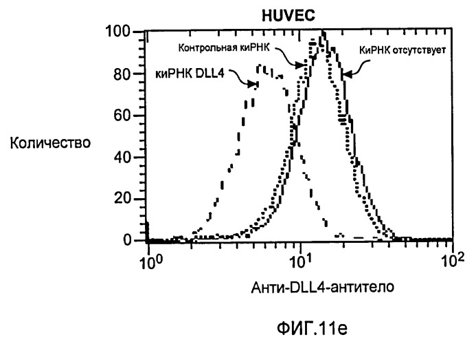 Антитела против dll4 и способы их применения (патент 2415869)