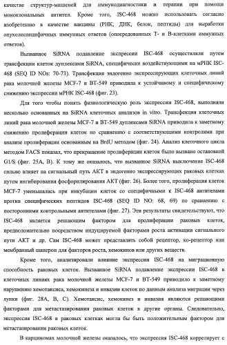 Идентификация опухолевых антигенов для диагностики и терапии (патент 2485974)