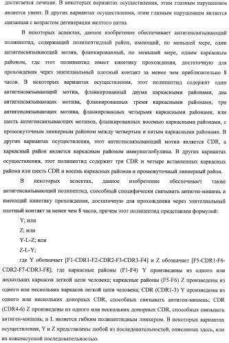 Scfv-антитела, которые проходят через эпителиальный и/или эндотелиальный слои (патент 2438708)