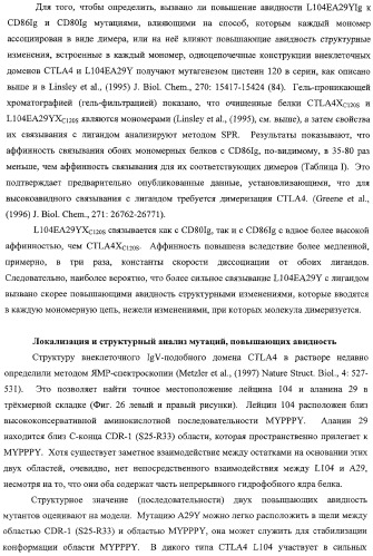 Способ лечения сердечно-сосудистого заболевания с применением растворимого ctla4 (патент 2353384)