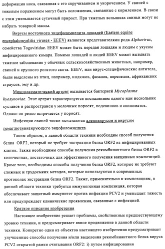 Поливалентные иммуногенные композиции pcv2 и способы получения таких композиций (патент 2488407)