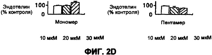 Композиции и способы улучшения состояния сосудистой системы (патент 2303373)