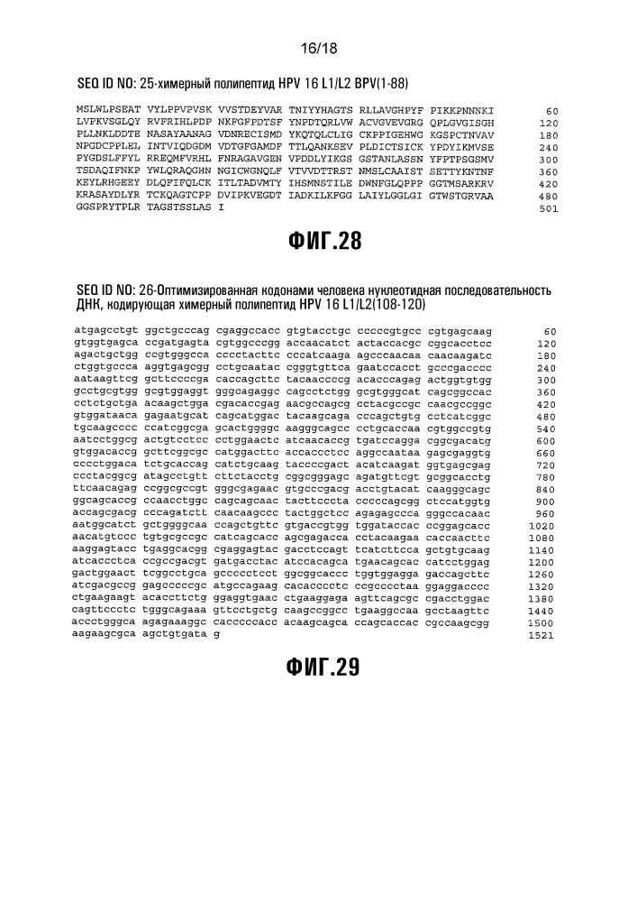 Химерная частица hpv (патент 2642287)