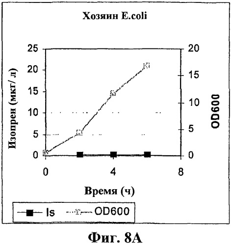 Композиции и способы получения изопрена (патент 2545699)