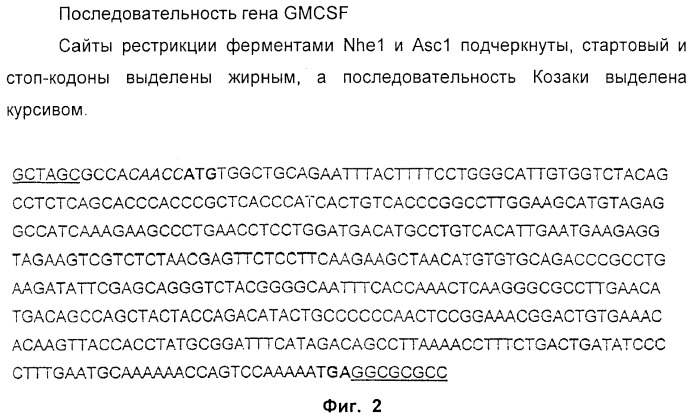 Способ усиления иммунного ответа млекопитающего на антиген (патент 2370537)