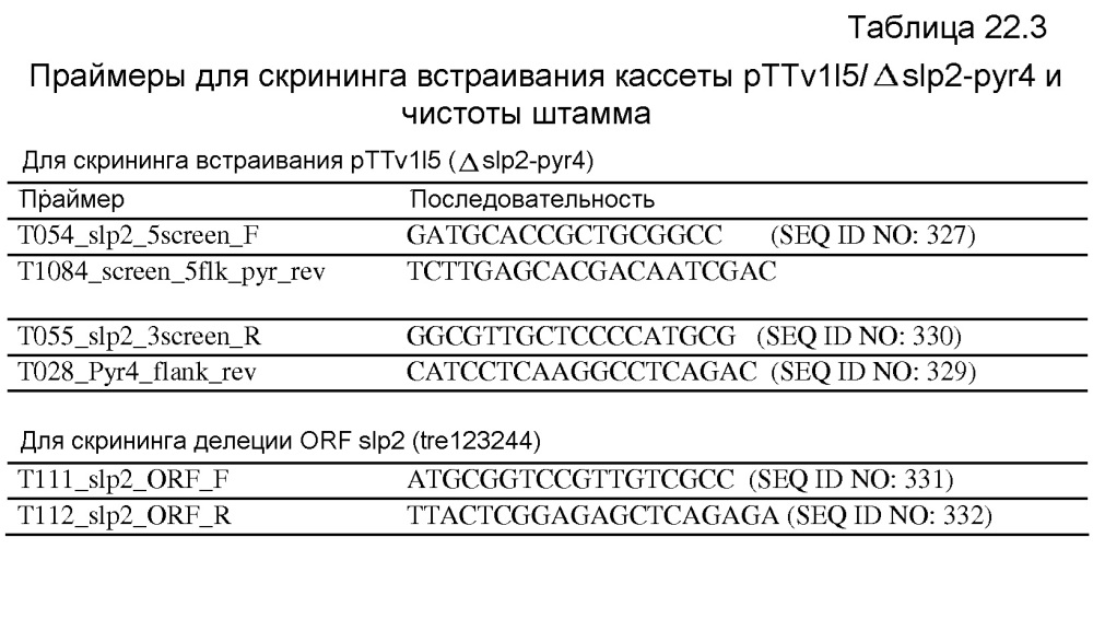 Клетка нитчатых грибов с дефицитом протеаз и способы ее применения (патент 2645252)