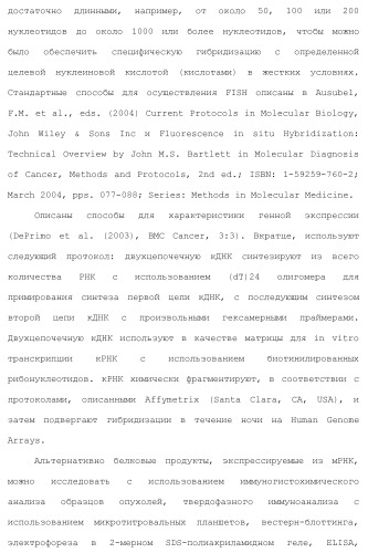 Бициклические гетероциклические соединения в качестве ингибиторов fgfr (патент 2466130)