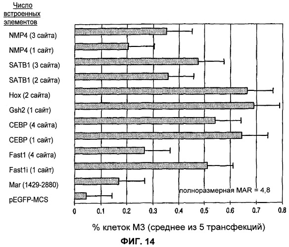 Экспрессионная система для повышения уровня экспрессии гена, молекула нуклеиновой кислоты, клетка, трансгенное животное и набор (патент 2469089)
