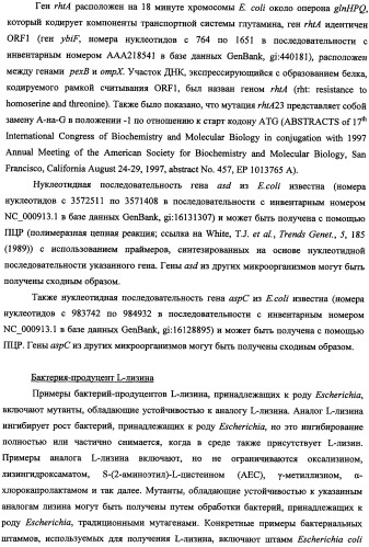 Способ получения l-треонина и l-аргинина с использованием бактерии, принадлежащей к роду escherichia, в которой инактивирован кластер генов yehabcde (патент 2337960)