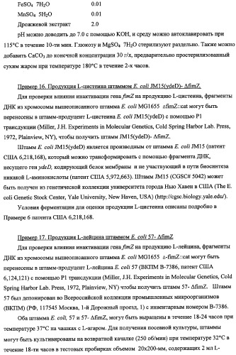 Способ получения l-треонина с использованием бактерии, принадлежащей к роду escherichia, в которой инактивирован кластер генов sfmacdfh-fimz или ген fimz (патент 2333953)