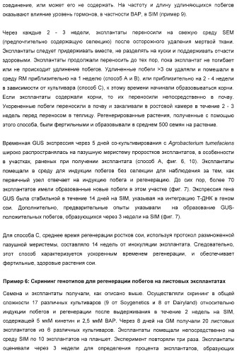 Улучшенная трансформация сои (патент 2389797)