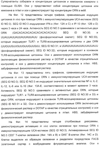 Мотивы последовательности рнк в контексте определенных межнуклеотидных связей, индуцирующие специфические иммуномодулирующие профили (патент 2435851)