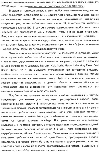 Антитела, связывающиеся с рецепторами kir2dl1,-2,-3 и не связывающиеся с рецептором kir2ds4, и их терапевтическое применение (патент 2410396)